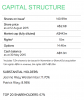 1PG capital structure.png