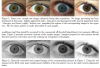 NIR VIS Eyes.PNG