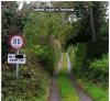Speed Sign.jpg