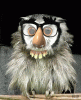 Owl Mad mac gif.gif