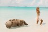 AUZ - pig chasing girl on beach.jpg