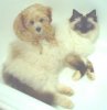 tasha&tammy.JPG