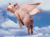 AUZ - flying pig with wings.jpg