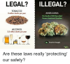Twitter-Are-these-laws-really-protecting-our-516ae8.png