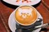 Coffee bear.jpg