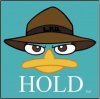 Perry Says HOLD.jpg