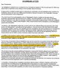 Platina 2008 Annual report extract.JPG