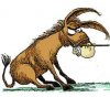 stubborn-mule.jpg