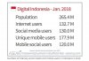 Digital Indonesia 2018.jpg