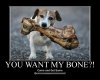 little_dog_w_big_bone_by_kclcmdr-d36z4gu.jpg