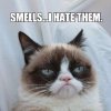Smells-Grumpy-Cat.jpg