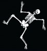 dancing-skeleton-vector-760713.jpg