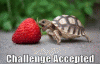 Challenge Accepted.gif