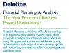 deloitte_1.JPG