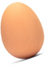 egg 1.png