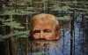 Trump Swamp.jpg