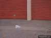 giphy (1).gif