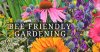 bee-friendly-gardening-fb.jpg