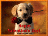 valentine dog.gif