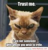funny-cat-pictures-trust-me.jpg
