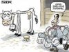 ASIC cow gets milked to death .jpg