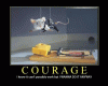 Courage 3.gif