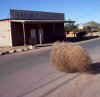 tumbleweed-through-ghost-town.jpg