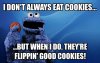 #cookie-monster-about-eating-cookies.jpg