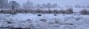 DSC_3983.jpg