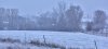 DSC_3985.jpg