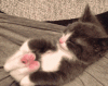 unnamed.gif