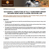 Pilbara minerals loan note.png