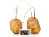 potato-battery-clock.jpg
