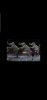 Screenshot_20191216-192621_Gallery.jpg