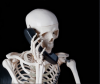 skelton.png