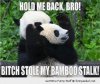 funny-panda-bear-hold-me-back-pics.jpg
