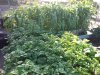 20200217_082754.jpg