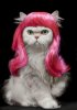 pinky.jpg