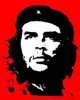 che-guevara1232976553.jpg.jpeg