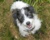 upload_2016-7-16_10-37-58.jpeg