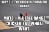 free range.jpg