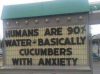 cucumbers.png