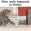 wuhan.png