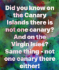 canary island.png