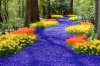images (1).jpeg