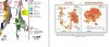 MAG - Map - Myall & FMG (1) (1).jpg