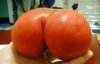 71-ass-tomato.jpg
