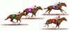 horserace4.gif