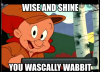 wascally wabbit.png
