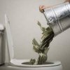 $$$ down the toilet images.jpg